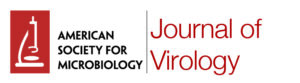 ASM JVI Logo